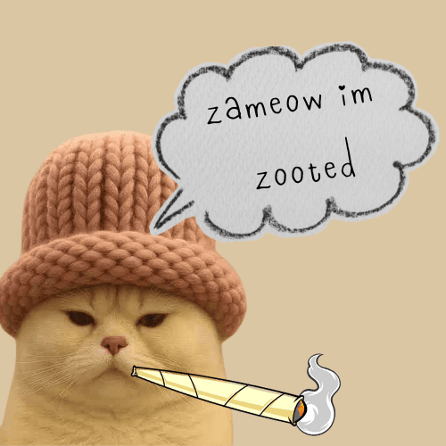Zameow I'm zooted